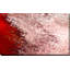 " Romans 4:8 How God Sees You " by Mark Lawrence-4131064-4131065