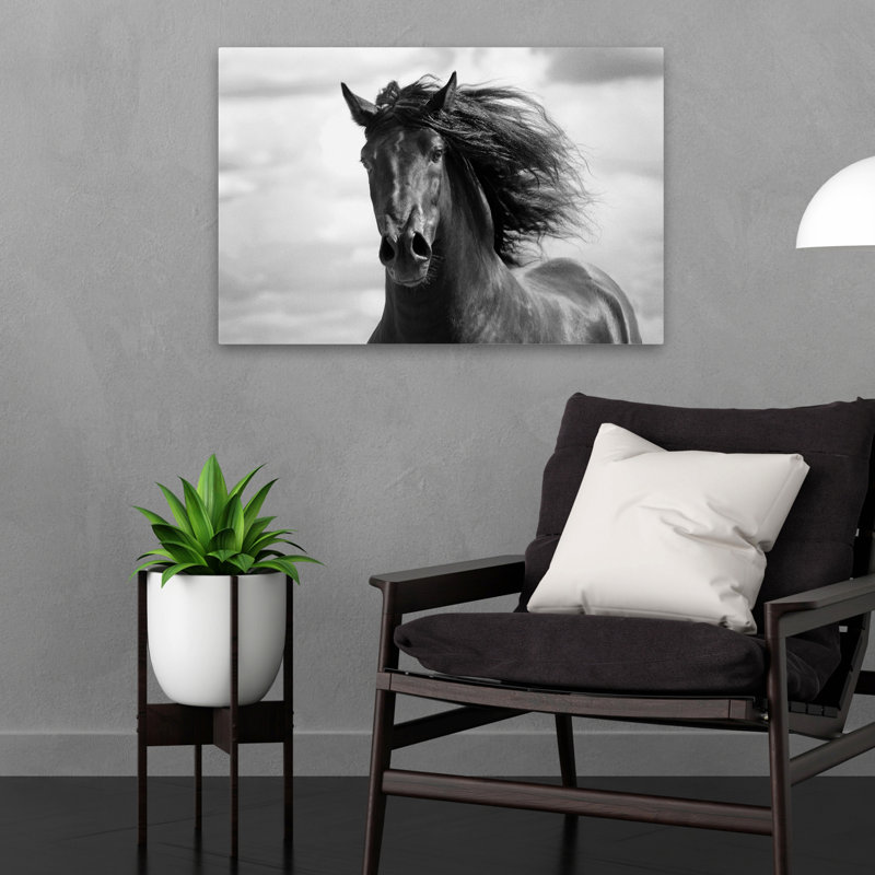 Breath Of Life - photographie, animaux, chevaux, nature, faune, H 16 po x l 24 po