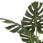 Grand arbre Monstera pour la décoration de plancher