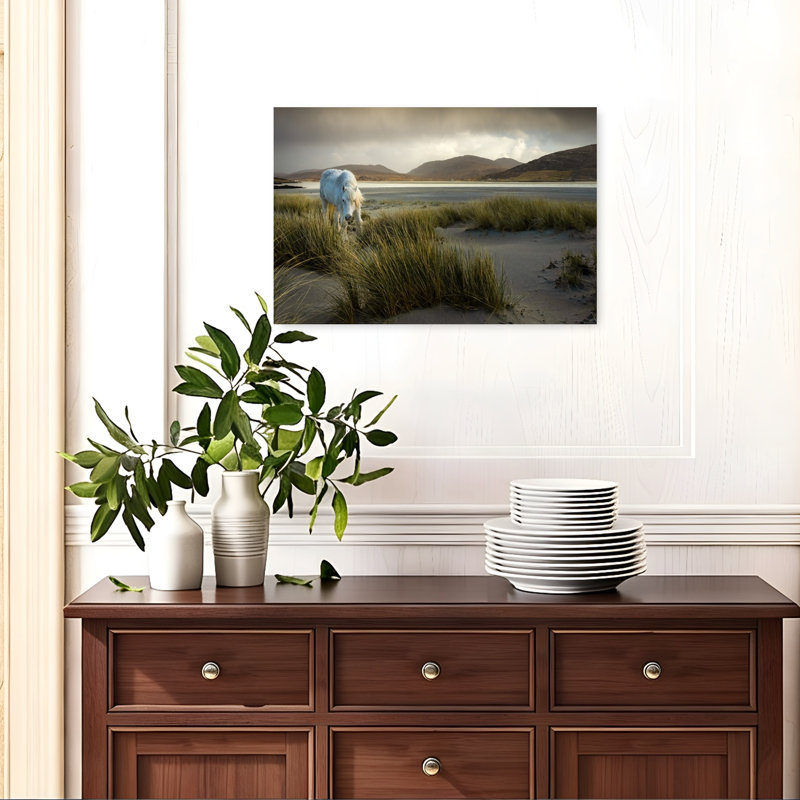 White Horse On Dunes Dramatic Peaceful Serene Horse Coastal Wall Art Print 1 Piece Wrapped Canvas Wall Art