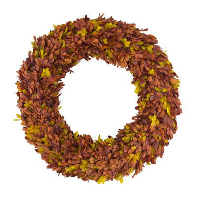 Heirloom 20" Handcrafted Preserved Real Boxwood Autumn Wreath