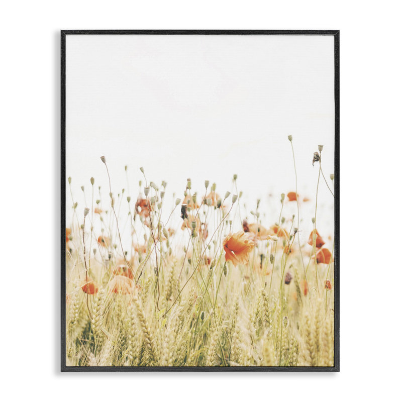 Az-316, impression de coquelicots encadrée, Giclée encadrée noir minuit, H 20 po x l 16 po x P 1,5 po