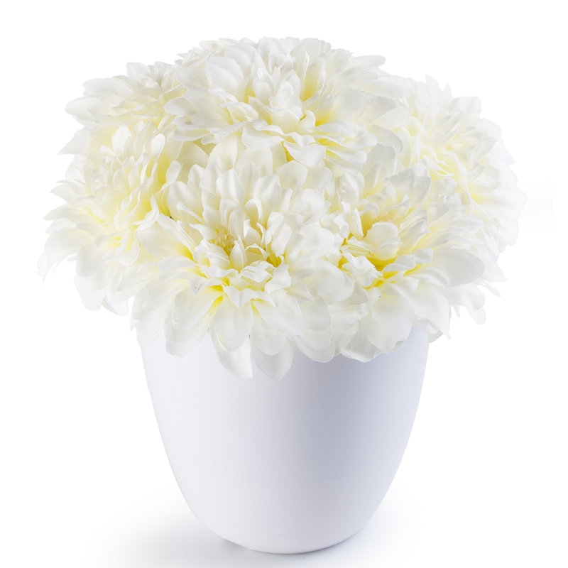 Arrangement floral dahlia en pot, Crème