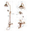 Michalak Mixer Shower with Dual Shower Head