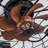 Hadiah 19.7 inch 7 - Blade Flush Mount Ceiling Fan with Remote Control and Light Kit Included-418287320