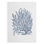 Summer Herb Garden Sketches II - Impression sur toile seulement - NON-CADRE
