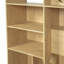 Bibliothèque pour chat avec cubes d'escalade et tablettes de rangement-201537941