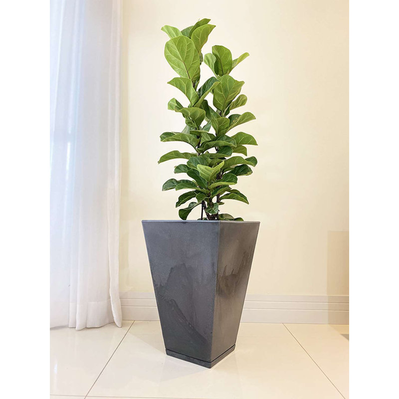 Pot à fleurs en résine Zurique, Noir, H 21,65 po x l 14,96 po x 14,96 po
