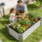 4x2 Ft Galvanized Steel Raised Garden Bed Kit - 1ft High, 48x24x12 Inch Outdoor Metal Planter Box for Vegetables, Herbs, Flowers & Plants | Easy Assembly, Rust-Resistant, Durable，set of 3-856242116-856242114