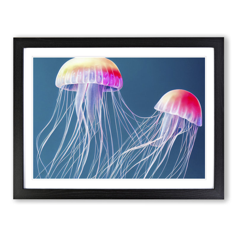 Jellyfish Vol.6 - Single Picture Frame Print, Black Framed, 46cm H x 64cm W x 2cm D