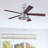 Idina 52'' Ceiling Fan with LED Lights-925279721