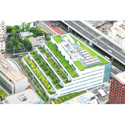 Margy Tokyo High-Rise Building Rooftop Garden by Yu-ji - Wrapped Canvas Print