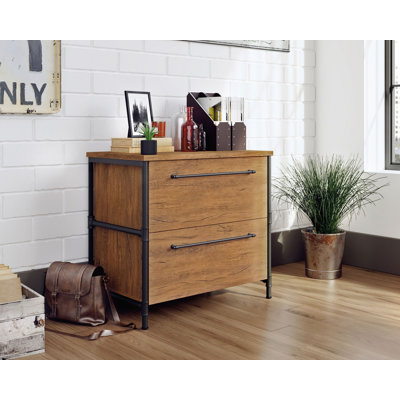 Procora Accent Cabinet by 17 Stories