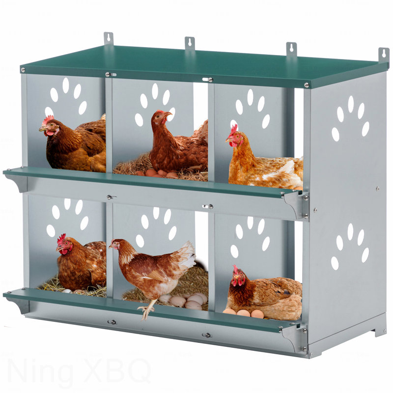 6 boîtes gigognes en métal en acier galvanisé pour poules