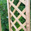 Verna 180cm H x 30cm W Wood Lattice Panel Trellis