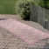 Hey Tiger Outdoor Rug