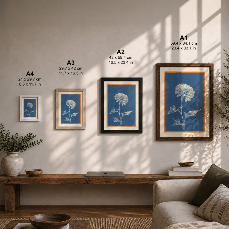 Daisy in Blueprint Botanical - Framed Print, Unframed, A2 - 59.4 x 42.0 cm