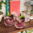 Beau Crystal Lowball Tumblers
