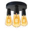 Nantan Spotlight-1513435236-1513435238