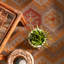 Orange / Beige Avalyn Geometric Pattern Indoor/Outdoor Rugs-58714473