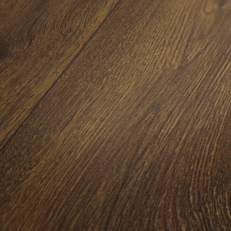 Woods and Wicker Collection Knotted Forest Wood Effect Wallpaper Roll, Brown