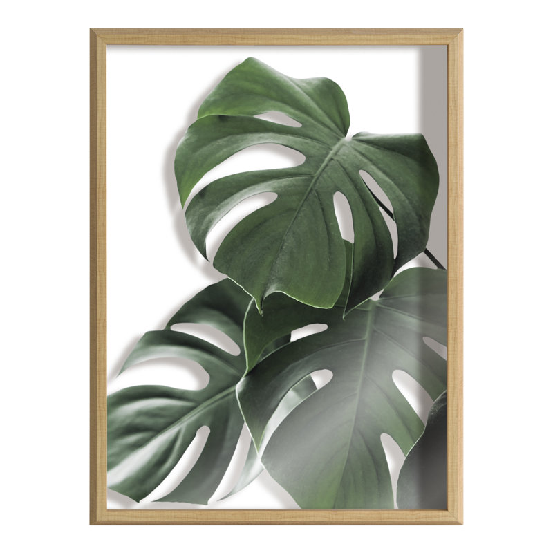 «Monstera feuilles» par Amy Peterson, art mural en verre encadré