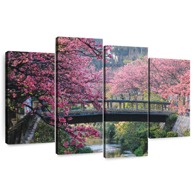 Okinawa Cherry Blossoms