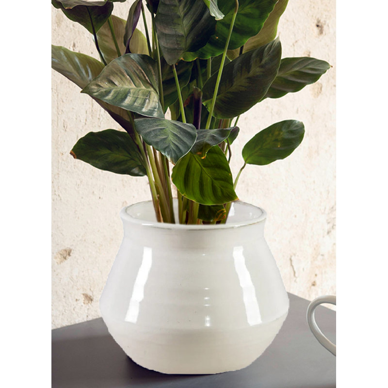Ivory Ceramic Pot Vase - Elegant Finish, Timeless Flared Design, Perfect For Floral Arrangements, Modern Home Décor & Gift Ideas, 6.5" Diameter & 5.5" Tall, Pack Of 12
