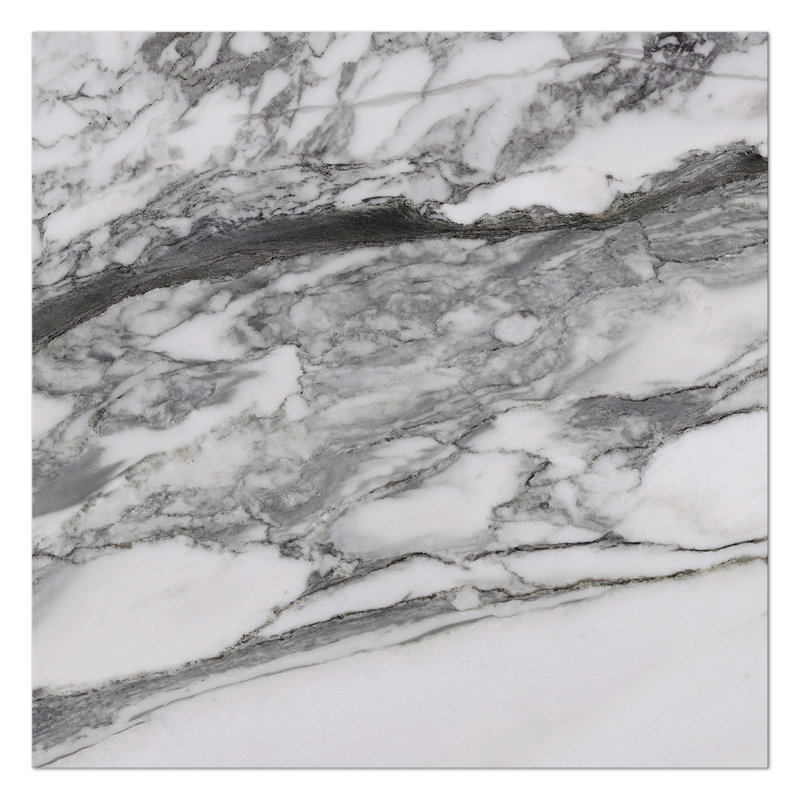 Senzia Square 7.87 in. x 7.87 in. Matte Porcelain Marble look Floor and Wall Tile, Gray/Black