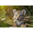 Playing Tiger Cub Figurine