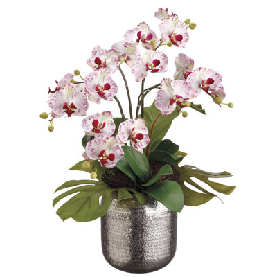 Mixed Assortment Arrangement in Pot