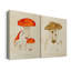 Toile tendue avec châssis Mushroom Variétés Ix-Premium - Prêt à être accroché-108962905