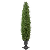 5'' Artificial Cedar Pine Arborvitae Tree In Urn Style Pot  Unlit