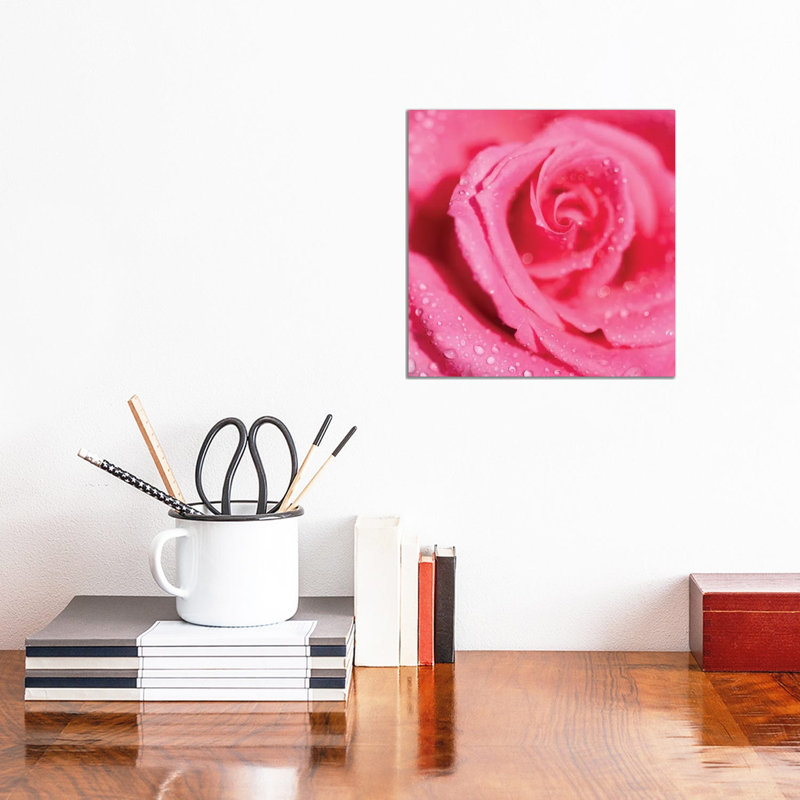 Rose And Raindrops - Wrapped Canvas Print, 30.48 cm H x 30.48 cm W