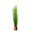 Indoor Cachepot-1388567052