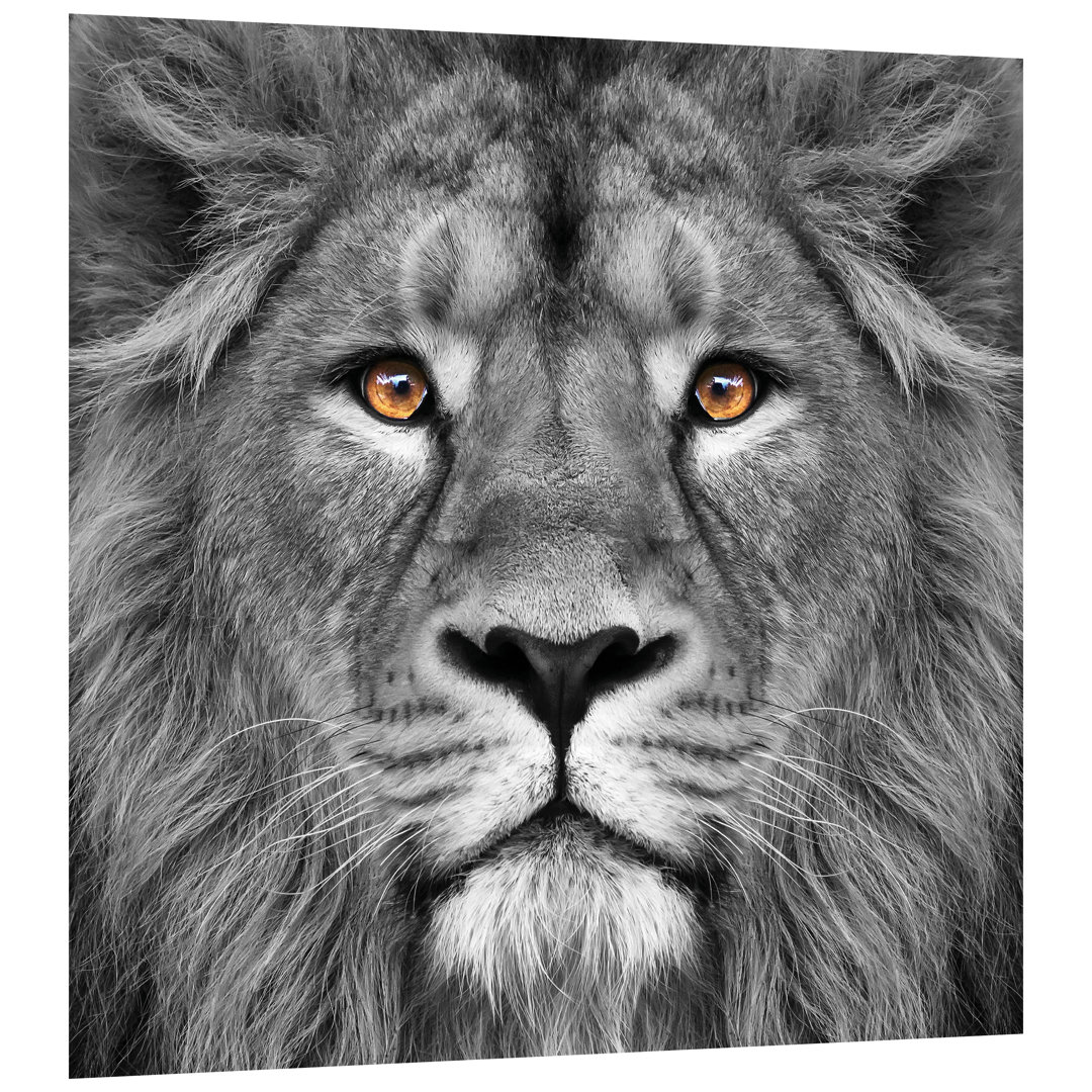 'King of the Jungle Lion' Glass Wall Art Orren Ellis