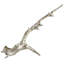 Drifting Hand Painted Abstract and Sports Decorative Object