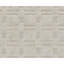 Area Rug in Beige