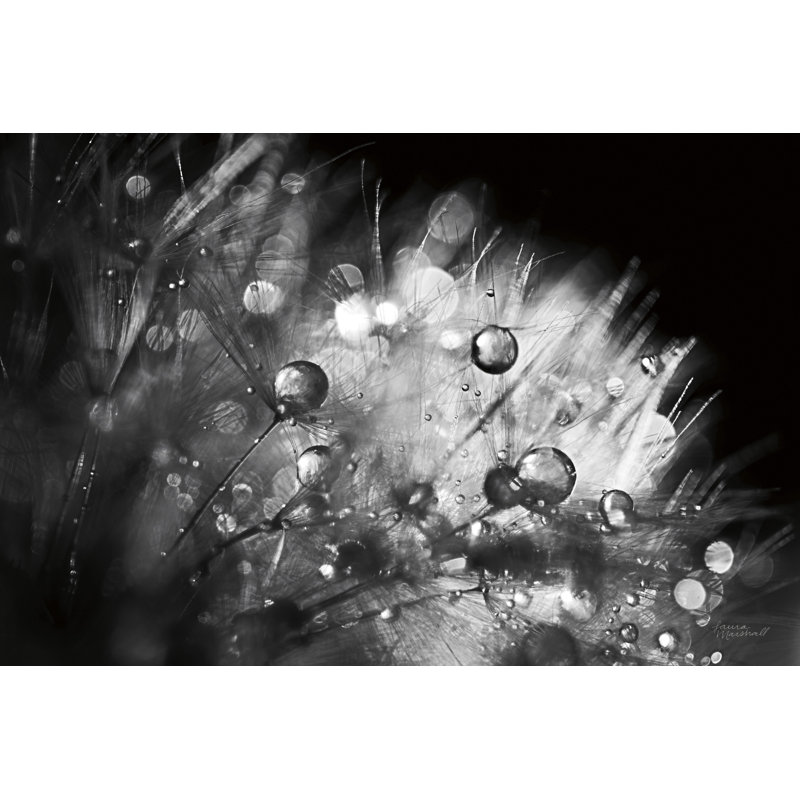 Up, On Black, Black And White, 16" H x 24" W x 1.5" D