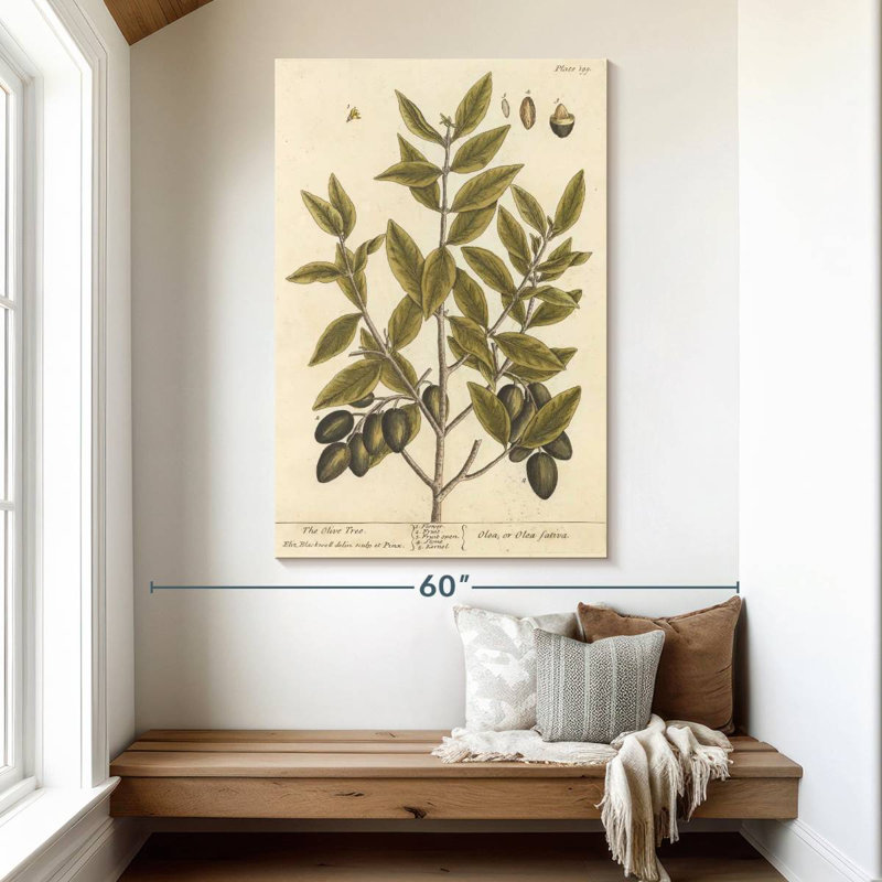 Keiri Olive Branch II, 51" H x 34" W