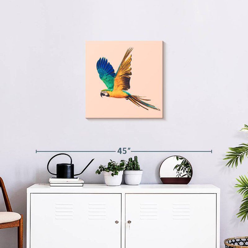 Brampt Macaw Parrot Flying, 20" H x 20" W