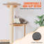 10.6cm H Cat Tree