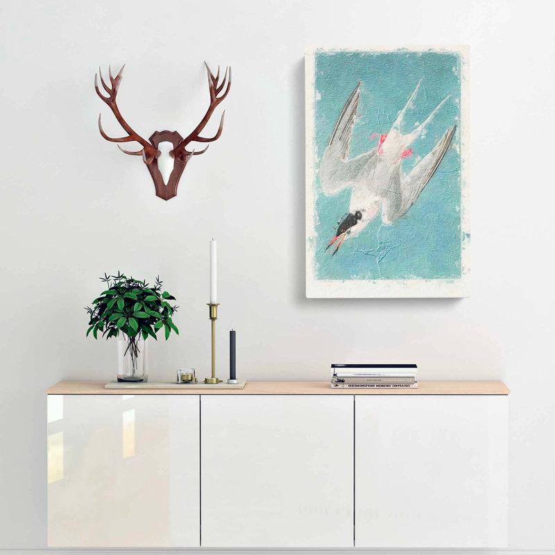 Roseate Tern Bird by John Audubon - Wrapped Canvas Print, 50cm H x 35cm W x 3cm D
