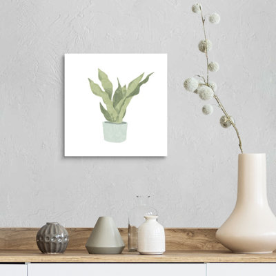 Art mural sur toile Snake Plant II