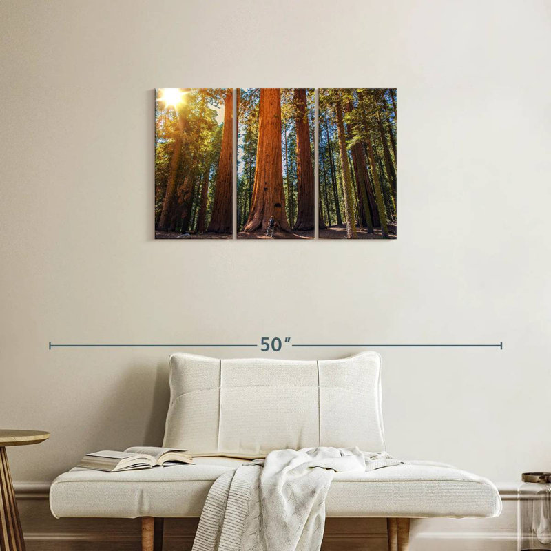Harnek Giant Sequoia Trees, 20" H x 33" W