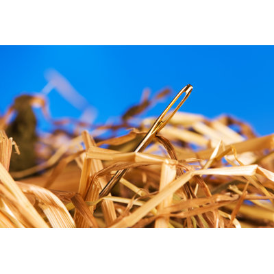 " Needle In A Haystack "