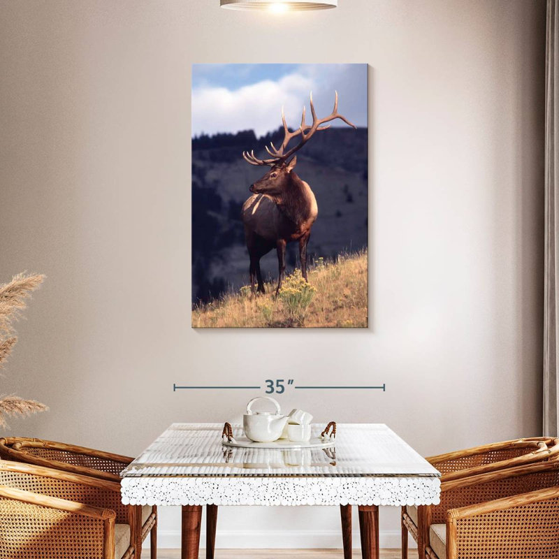 Wapiti de Brampt dans le Montana, H 45 po x l 30 po