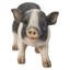 Figurine cochon