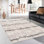 Area Rug in Beige