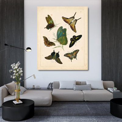 Art graphique sur toile tendue August Studio® Vision Studio, titré Antique Entomology I